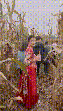 搞笑gif:娶媳妇,丈母娘啥也不要,只要了两千头猪