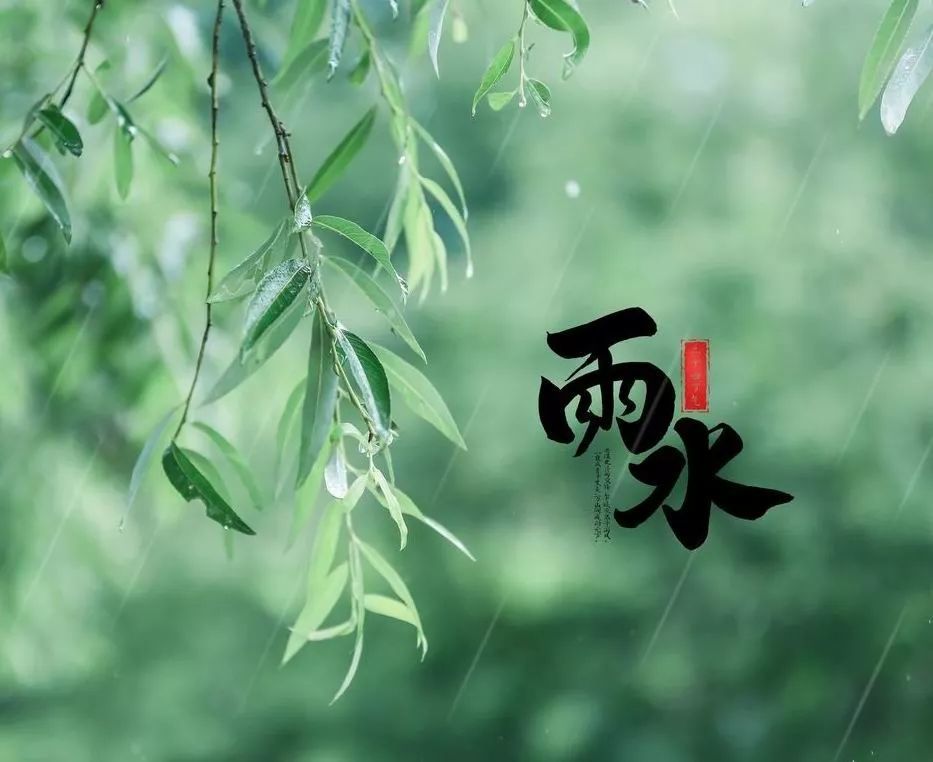 今天雨水,一起见证枯木逢春的重生,钢琴曲《雨》