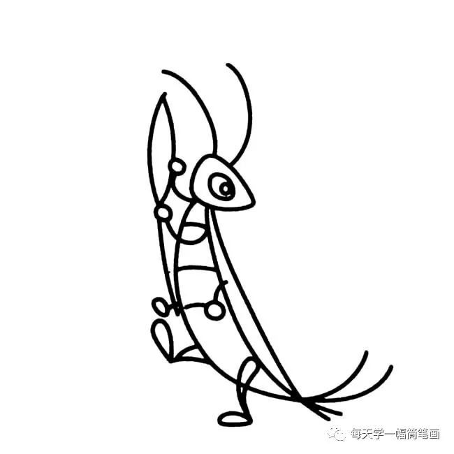 简笔画,画法,昆虫
