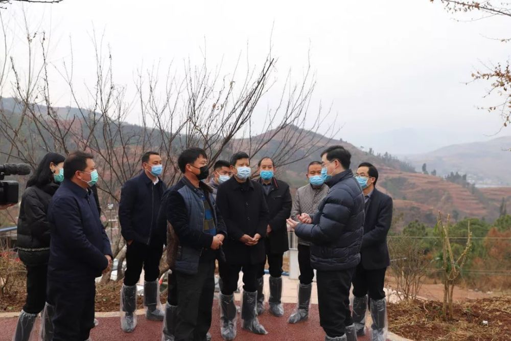 刘晓博,州委,会东县,防控