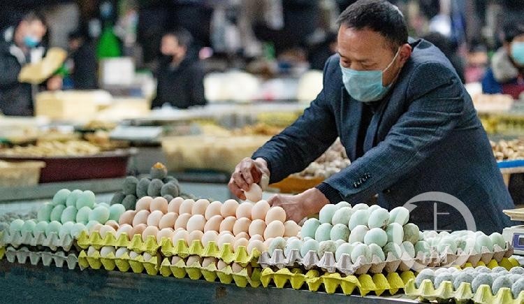 南川区中心农贸市场摊主整理摊位上的鸡蛋.