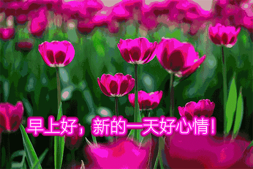 2月8日周一最新早上好问候祝福动态表情图片 最新早安