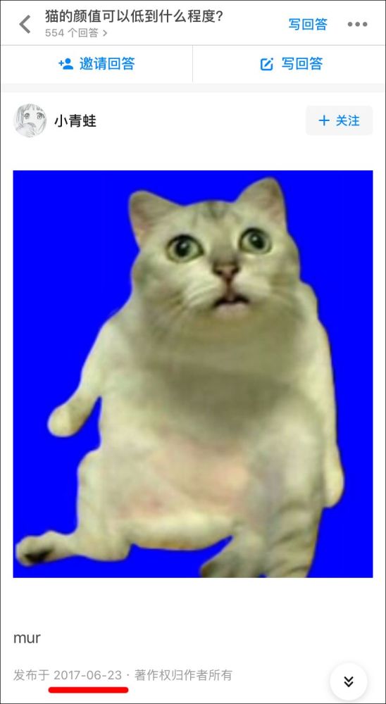 B站知识增加猫表情 万图壁纸网