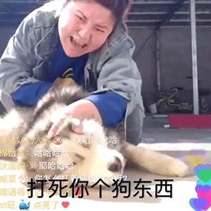 郭老师敲搞笑表情包来啦