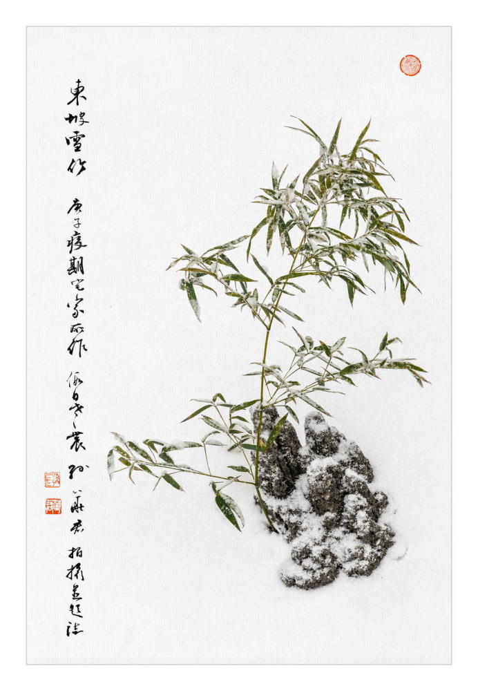 《东坡雪竹图》拍摄的前前后后