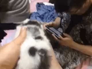 转头后:对不起,打扰了!