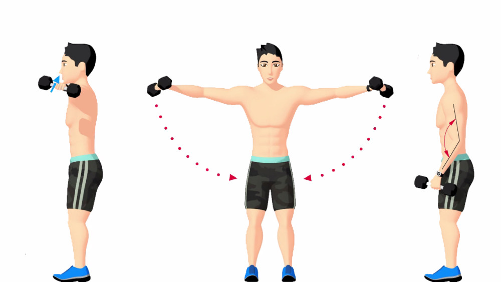 如何正确做哑铃侧平举动作训练肩膀三角肌中束,打造饱满球形肩膀