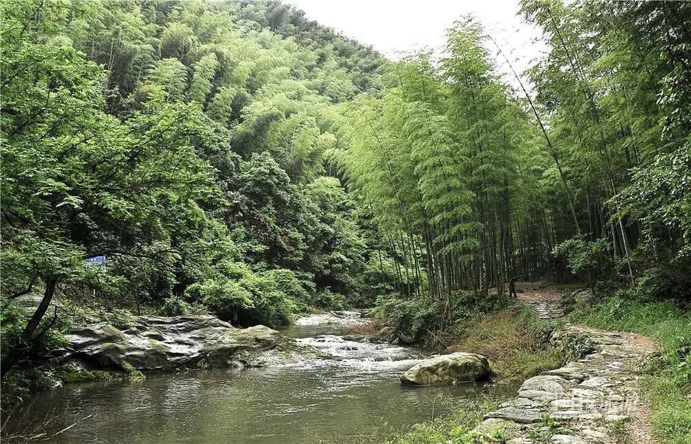 余姚,四明山地质公园,宁波,浙东小九寨,四明湖,四明山