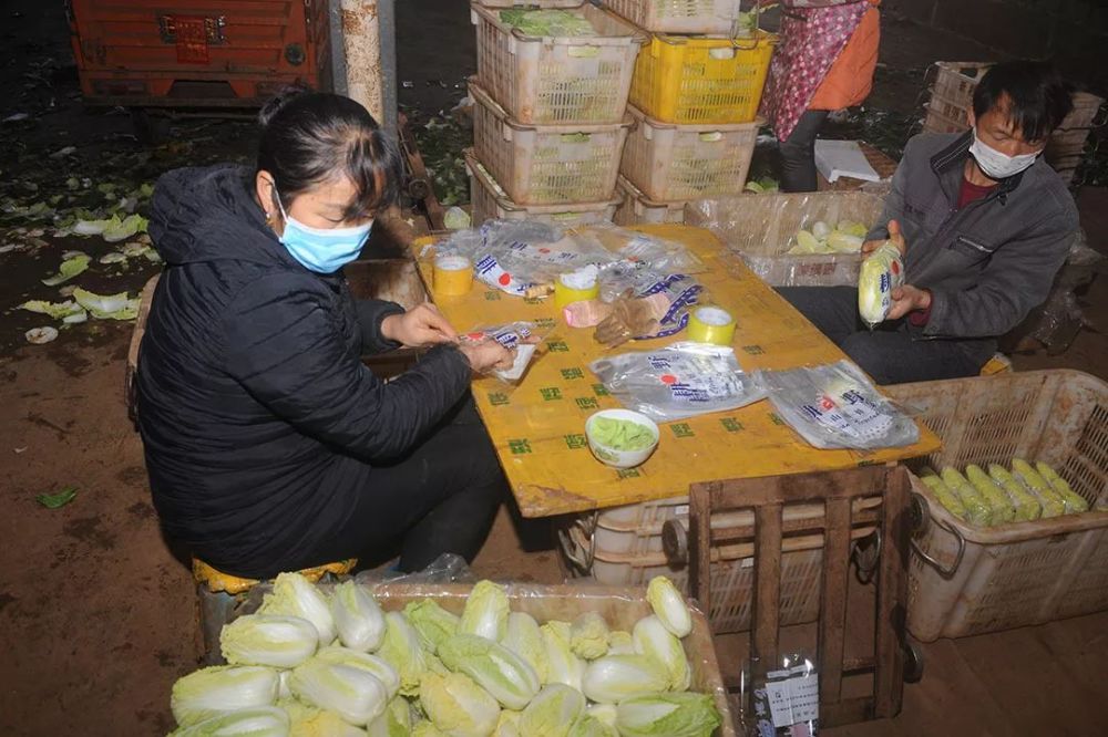 泸西金马镇:爱心接力!再捐46.5吨蔬菜和鸡蛋驰援咸宁