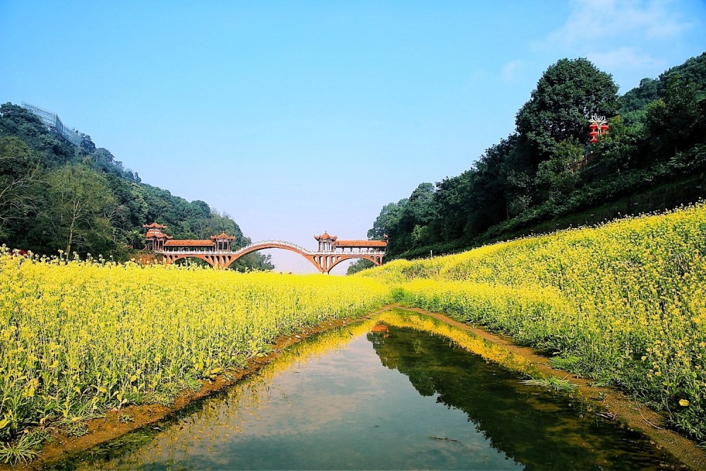 四川,乐山,乐山大佛,油菜花,婺源
