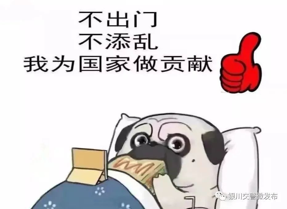 不出门就是给社会做贡献了