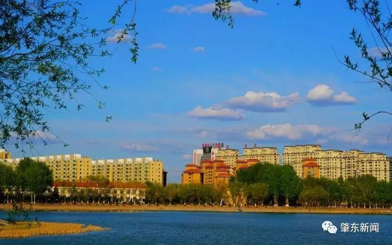 当云雾也倾慕肇东的时候,从地面到高空,我们的城市简直美成了仙境!