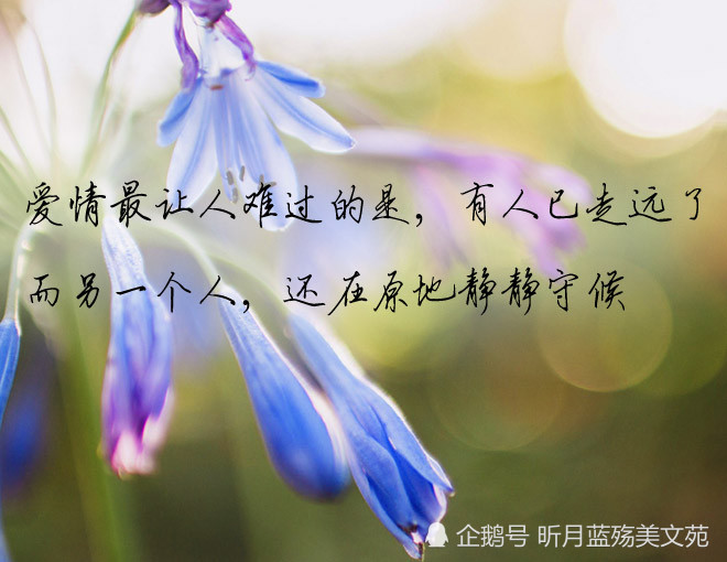 真心爱过的人,会牵挂一生一世