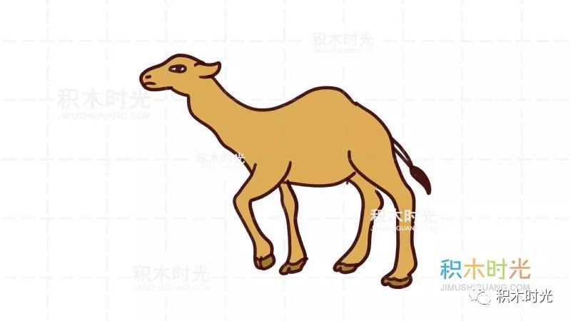 动物简笔画大全:画骆驼简笔画