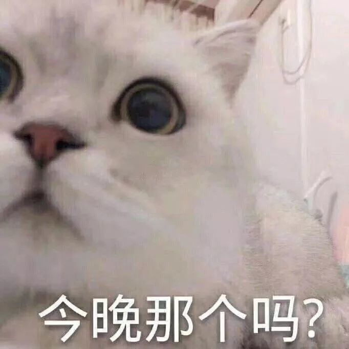 表情包:我好累,我要姐姐抱着睡
