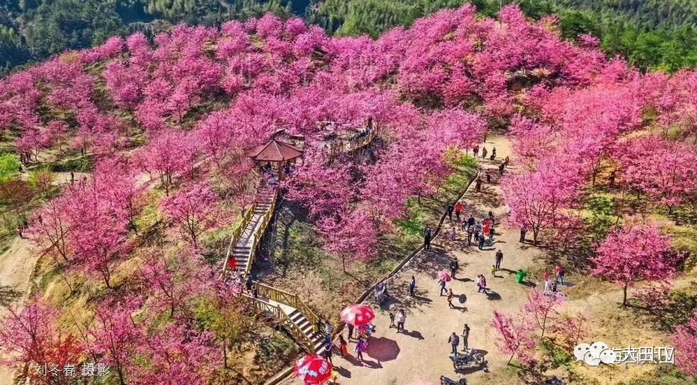 大田县,旅游景区,景点,桃源镇,屏山乡