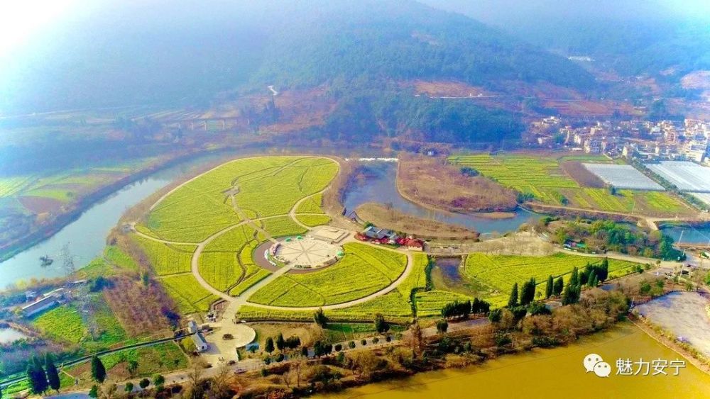 油菜花,安宁,螳螂川,山口村,县街,大地