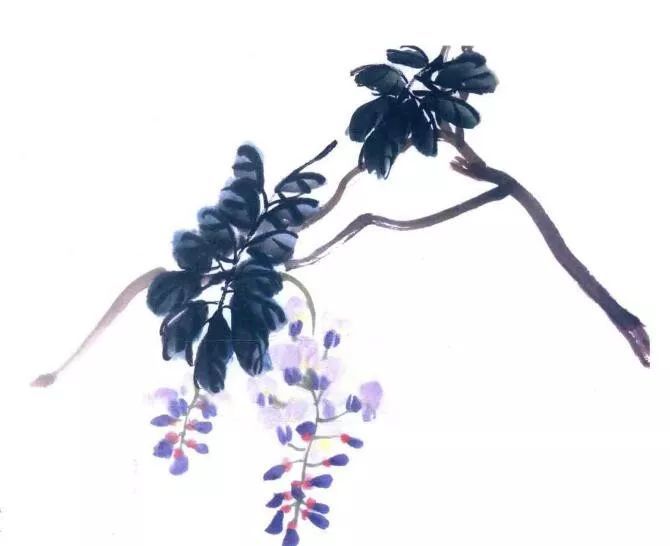 国画初学技法 四季名花:紫藤画法