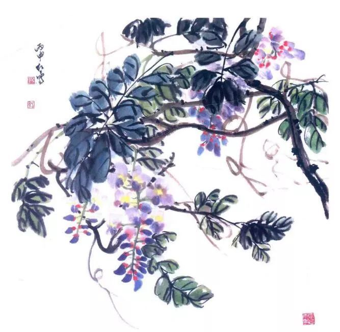 国画初学技法 四季名花:紫藤画法