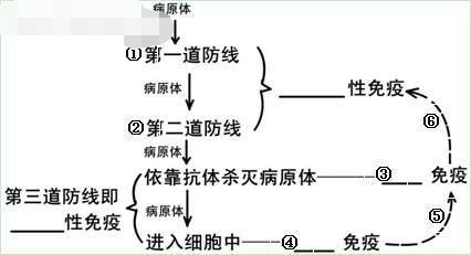 图一 人体三道防线三,特异性免疫的过程 三,特异性免疫的过程 (一)