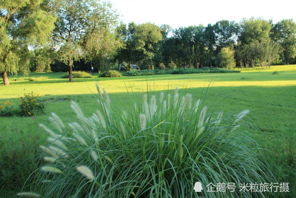 北京,奥林匹克公园,夏日景色
