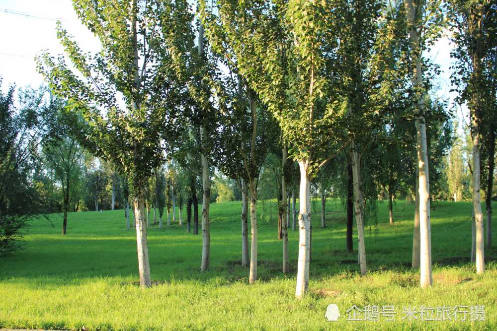 北京奥林匹克森林公园北园,夏季的午后景色,蓝天白云映照在湖面上