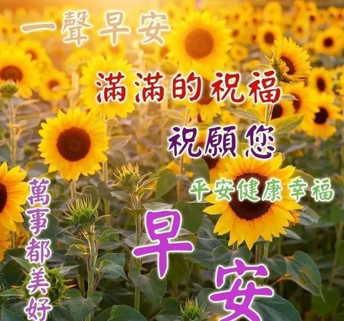 早上好问候祝福动态表情图片 节日早安问候语