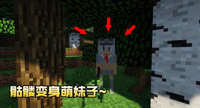 我的世界:当怪物们娘化之后,骷髅变身学生妹,女巫晋升