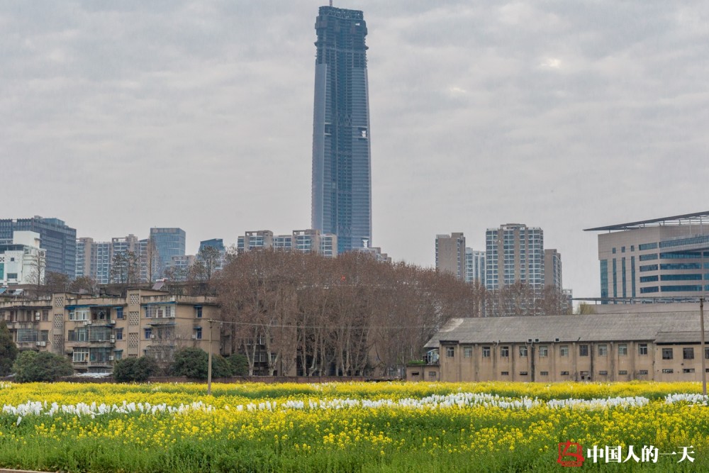 不远处是武汉标志性建筑——绿地606大厦