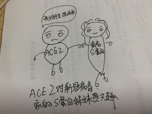 怎样入侵别人手机?_手机入侵 教程_如何入侵别人的手机