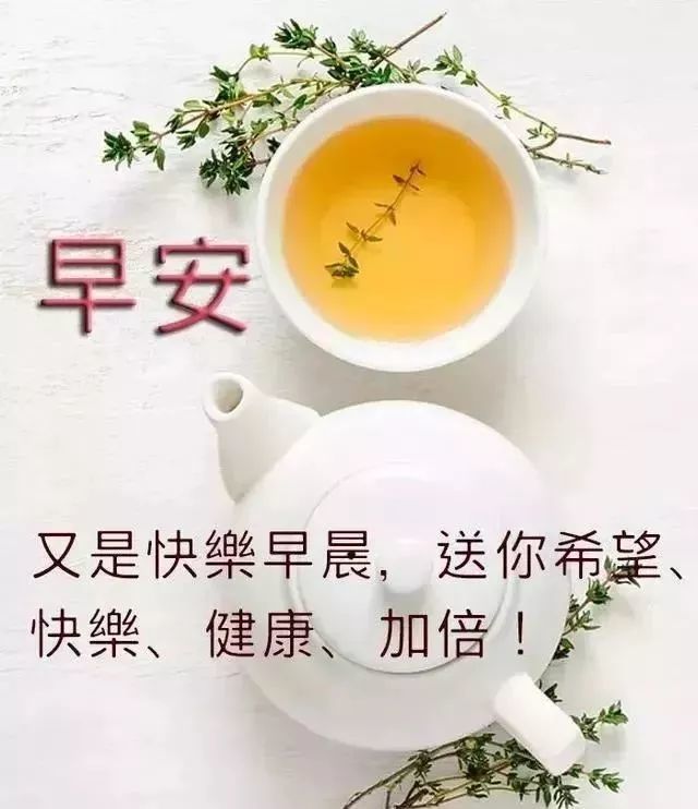 2月24日周一发朋友圈的早安正能量哲理语录,早上好祝福表情包动态图片