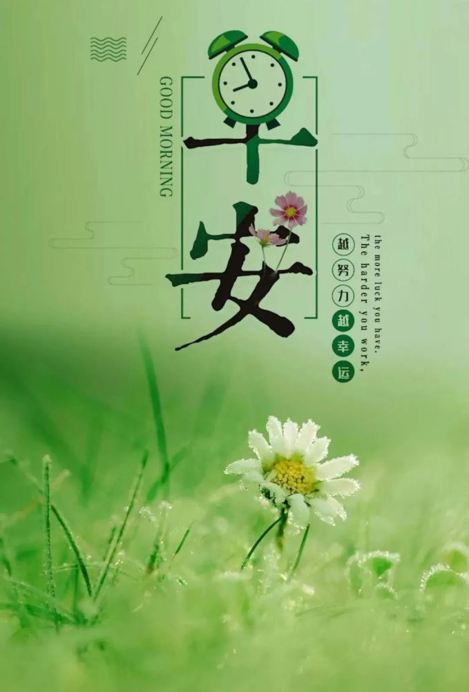 早安心语正能量很火的语录句子 最赞早上好图片带字正