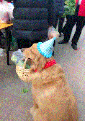 去菜市场买菜也完全不成问题.