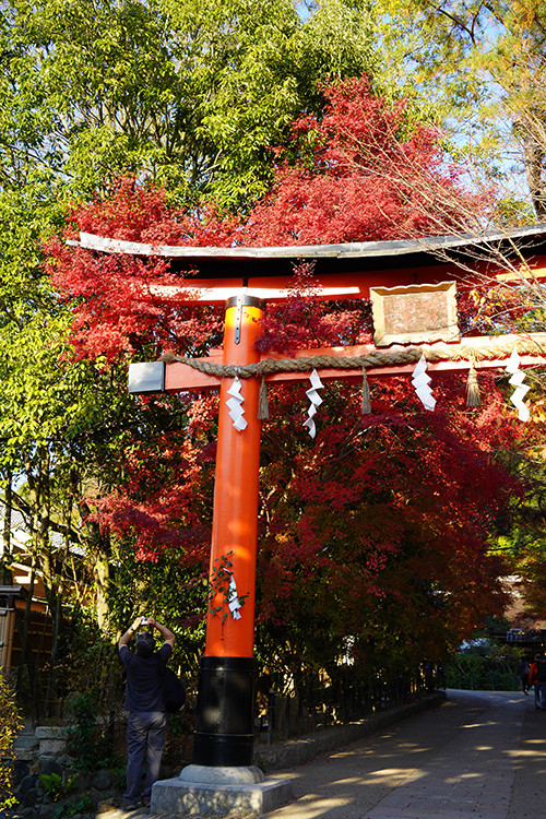 日本,旅行,神社,东京,京都