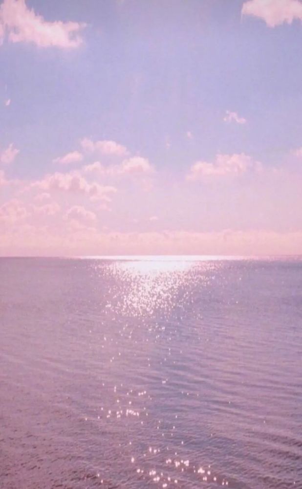 你的脖子真可爱,顶了一个猪脑袋