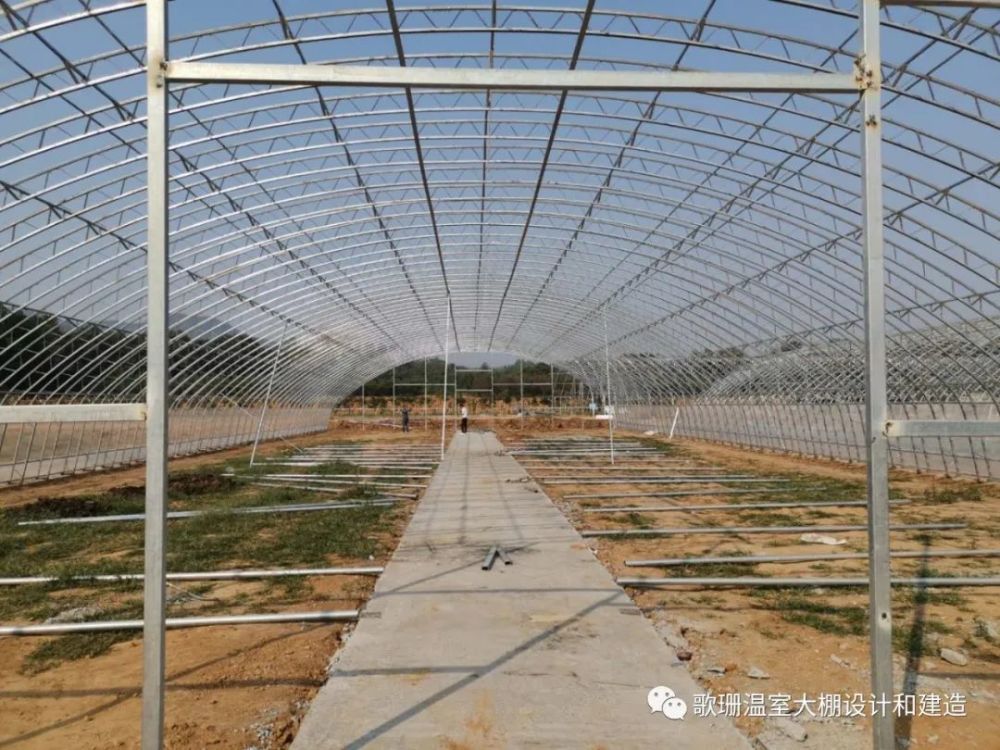 双拱双膜c型钢日光温室大棚的弊端