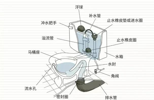 卫生间座便器种类如此之多,该如何选购?