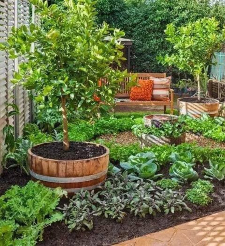 12个庭院"菜园子",网友直呼:菜园比花园还美啊!