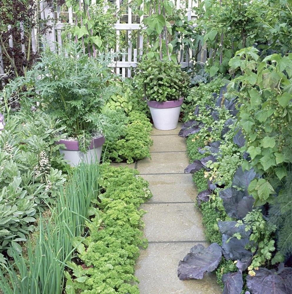 12个庭院"菜园子",网友直呼:菜园比花园还美啊!
