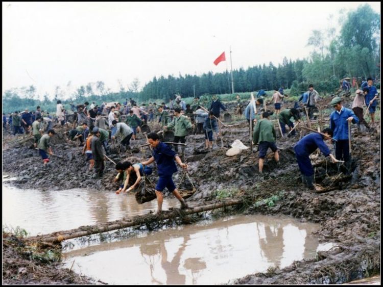 益阳:回顾30年前沅江大通湖,茶盘洲等国营农场生活生产场面