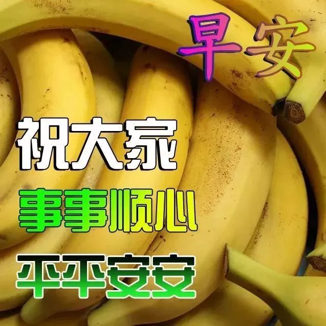 2020年抗击疫情安慰人心的早安问候语,句句温暖人心,国人加油