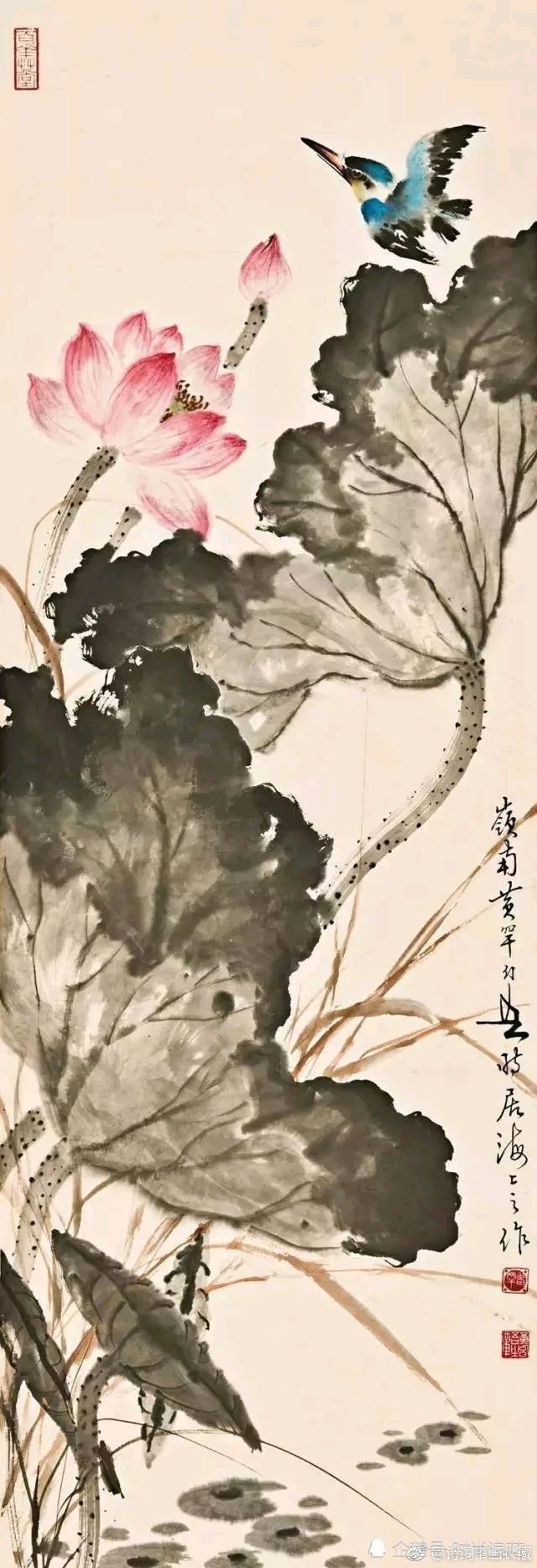 岭南画派名家黄幻吾荷花作品欣赏