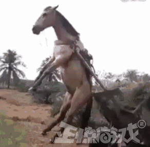 292_286gif 动态图 动图