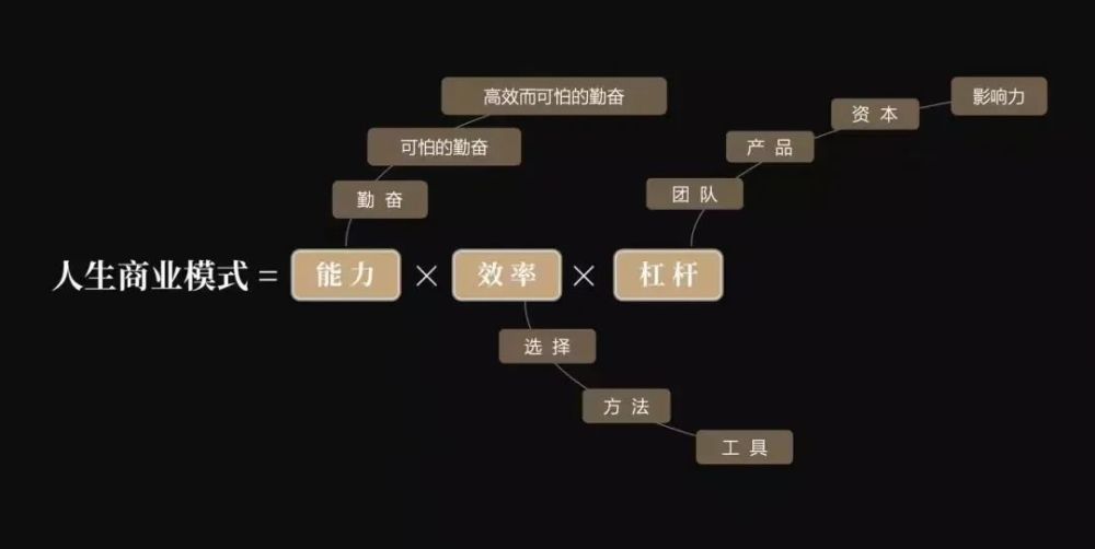 人生商业模式=能力*效率*杠杆