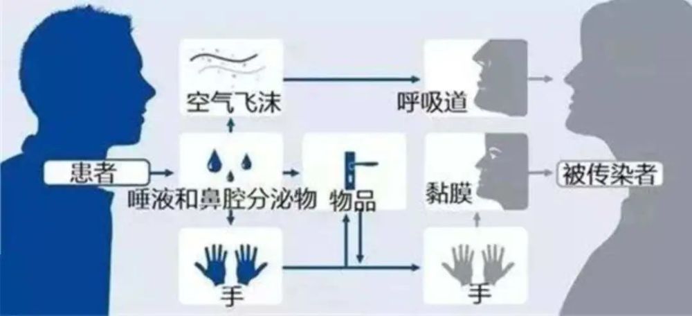 病毒,新型冠状病毒,新冠病毒,流行性感冒