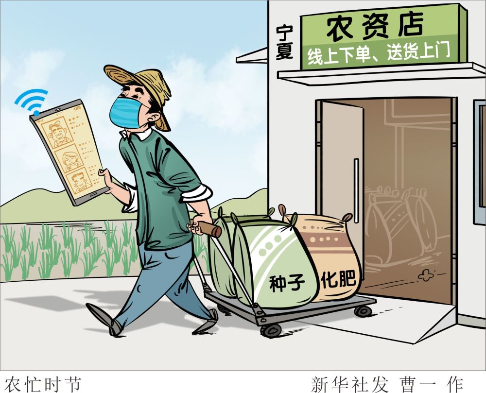 北京,农资,农业农村厅,宁夏