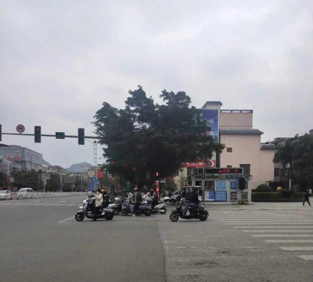 靖西市,疫情防控,岳圩