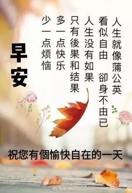 最新最漂亮早安问候祝福图片带字温馨,最新早安问候语