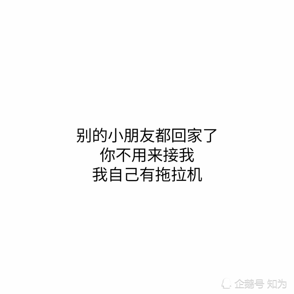 适合发说说的搞笑句子