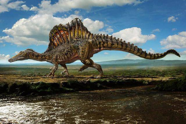 巨大的棘龙是不是最强恐龙王?